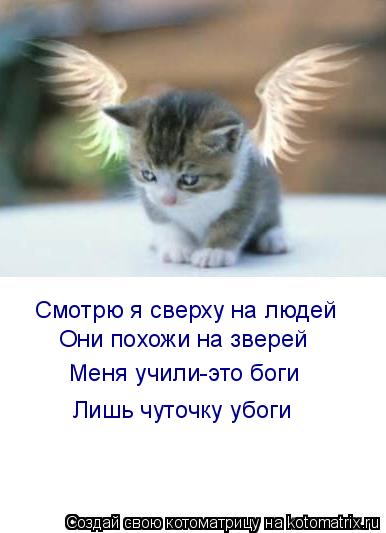Смотрю я сверху на людей Они похожи на зверей Меня учили-это боги Лишь чуточку убоги... Котоматрица: Смотрю я сверху на людей Они похожи на зверей Меня учили-это боги Лишь чуточку убоги