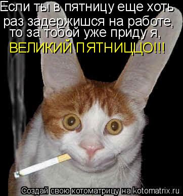 Если ты в пятницу еще хоть раз задержишся на работе, то за тобой уже приду я, ВЕЛИКИЙ ПЯТНИЦЦО!!!... Котоматрица: Если ты в пятницу еще хоть раз задержишся на работе, то за тобой уже приду я, ВЕЛИКИЙ ПЯТНИЦЦО!!!