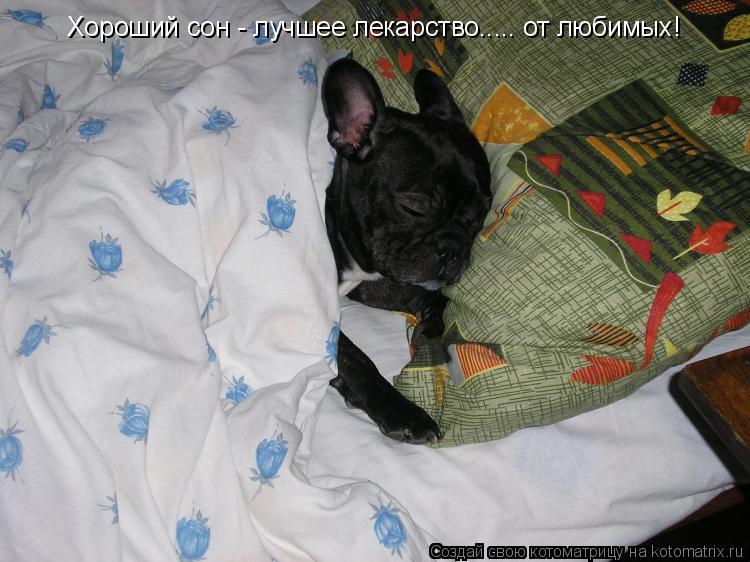 Хороший сон - лучшее лекарство..... от любимых!... Котоматрица: Хороший сон - лучшее лекарство..... от любимых!