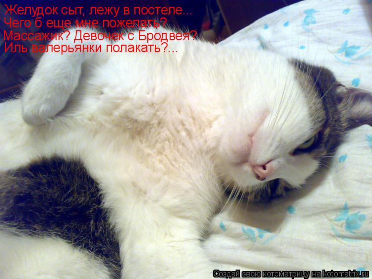 Желудок сыт, лежу в постеле... Чего б еще мне пожелать? Массажик? Девочек с Бродвея? Иль валерьянки п... Котоматрица: Желудок сыт, лежу в постеле... Чего б еще мне пожелать? Массажик? Девочек с Бродвея? Иль валерьянки полакать?...
