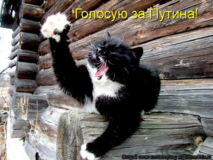 Голосую за Путина!... Котоматрица: Голосую за Путина!