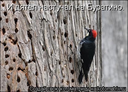 ...И дятел настучал на Буратино.... Котоматрица: ...И дятел настучал на Буратино.