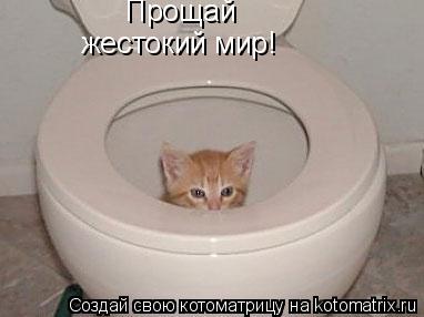 Котоматрица: Прощай жестокий мир!