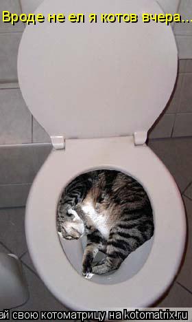 Котоматрица: Вроде не ел я котов вчера...