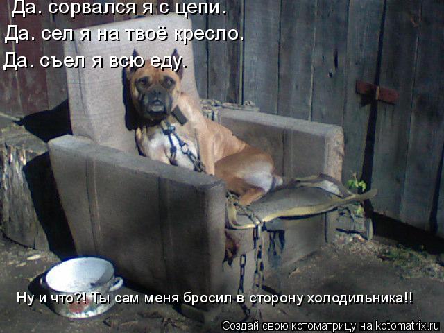 Котоматрица: Да. сорвался я с цепи. Да. сел я на твоё кресло. Да. съел я всю еду. Ну и что?! Ты сам меня бросил в сторону холодильника!!