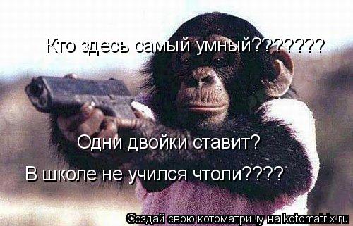 Кто здесь самый умный??????? Одни двойки ставит? В школе не учился чтоли????... Котоматрица: Кто здесь самый умный??????? Одни двойки ставит? В школе не учился чтоли????
