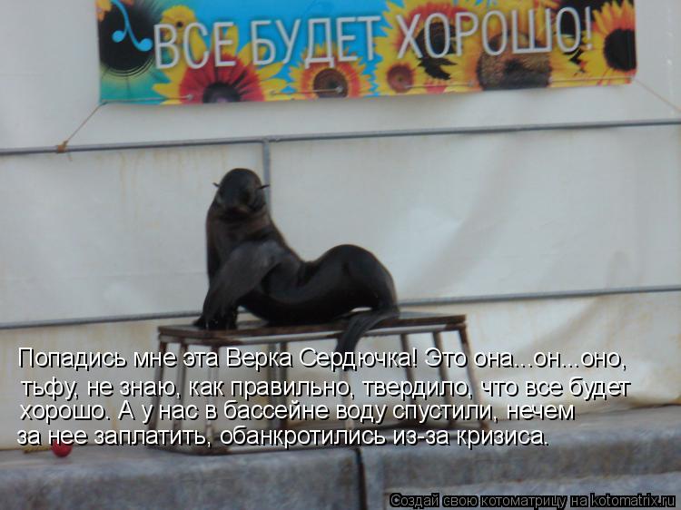 Попадись мне эта Верка Сердючка! Это она...он...оно, тьфу, не знаю, как правильно, твердило, что все... Котоматрица: Попадись мне эта Верка Сердючка! Это она...он...оно, тьфу, не знаю, как правильно, твердило, что все будет хорошо. А у нас в бассейне воду спуст