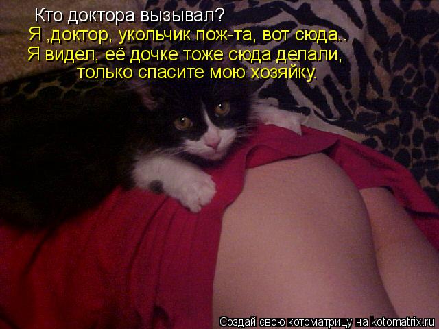 Котоматрица: Кто доктора вызывал? Я ,доктор, укольчик пож-та, вот сюда.. Я видел, её дочке тоже сюда делали,  только спасите мою хозяйку.