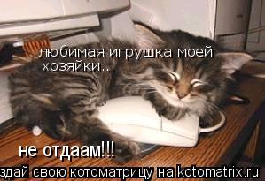 Котоматрица: любимая игрушка моей хозяйки... не отдаам!!!