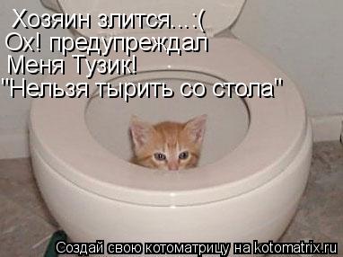 Хозяин злится...:( Ох! предупреждал Меня Тузик! "Нельзя тырить со стола"... Котоматрица: Хозяин злится...:( Ох! предупреждал Меня Тузик! "Нельзя тырить со стола"