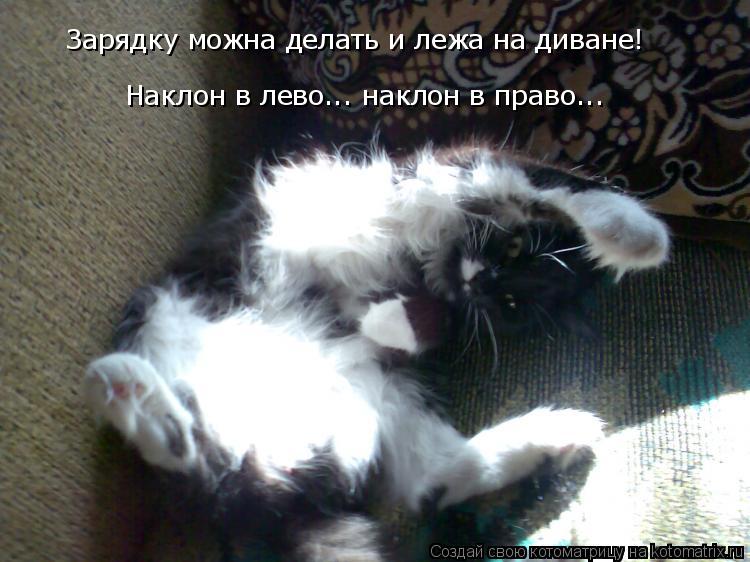 Зарядку можна делать и лежа на диване! Наклон в лево... наклон в право...... Котоматрица: Зарядку можна делать и лежа на диване! Наклон в лево... наклон в право...