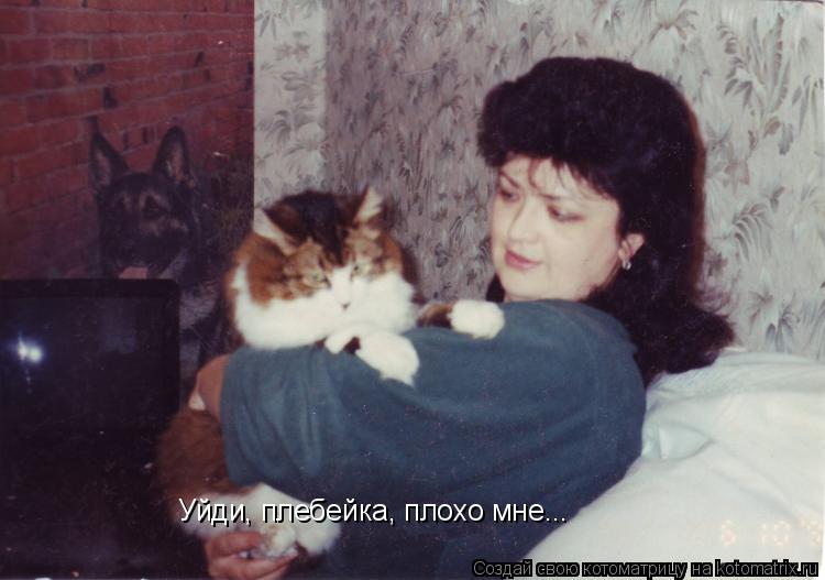 Уйди, плебейка, плохо мне...... Котоматрица: Уйди, плебейка, плохо мне...