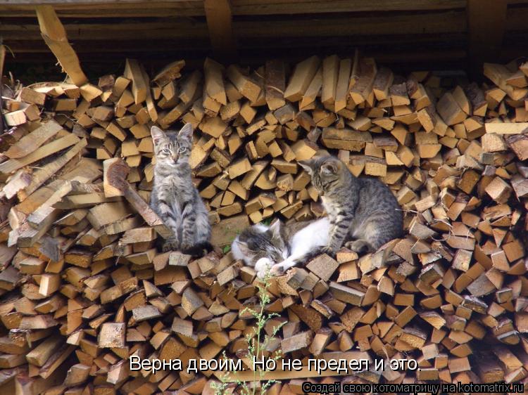 Верна двоим. Но не предел и это.... Котоматрица: Верна двоим. Но не предел и это.