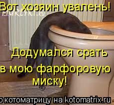 Вот хозяин увалень! Додумался срать в мою фарфоровую миску!... Котоматрица: Вот хозяин увалень! Додумался срать в мою фарфоровую миску!
