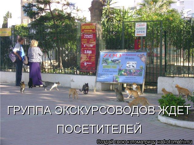 ГРУППА ЭКСКУРСОВОДОВ ЖДЕТ ПОСЕТИТЕЛЕЙ ПОСЕТИТЕЛЕЙ... Котоматрица: ГРУППА ЭКСКУРСОВОДОВ ЖДЕТ ПОСЕТИТЕЛЕЙ ПОСЕТИТЕЛЕЙ