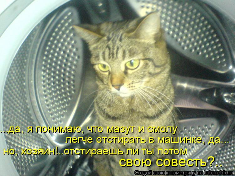 ...да, я понимаю, что мазут и смолу легче отстирать в машинке, да... но, хозяин!..отстираешь ли ты п... Котоматрица: ...да, я понимаю, что мазут и смолу легче отстирать в машинке, да... но, хозяин!..отстираешь ли ты потом свою совесть?..