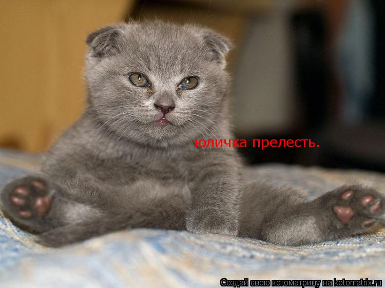 юличка прелесть.... Котоматрица: юличка прелесть.