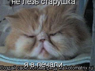 не лезь старушка я в печали... Котоматрица: не лезь старушка я в печали