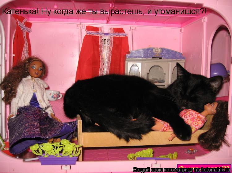 Катенька! Ну когда же ты вырастешь, и угоманишся?!... Котоматрица: Катенька! Ну когда же ты вырастешь, и угоманишся?!