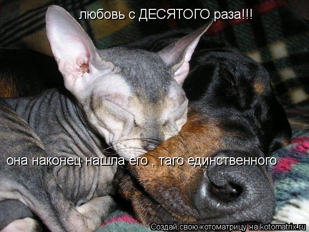 она наконец нашла его , таго единственного любовь с ДЕСЯТОГО раза!!!... Котоматрица: она наконец нашла его , таго единственного любовь с ДЕСЯТОГО раза!!!
