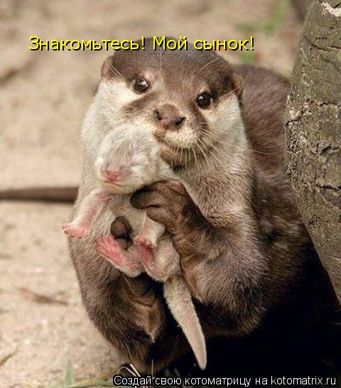Знакомьтесь! Мой сынок!... Котоматрица: Знакомьтесь! Мой сынок!