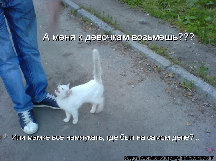 А меня к девочкам возьмешь??? Или мамке все намяукать, где был на самом деле?...... Котоматрица: А меня к девочкам возьмешь??? Или мамке все намяукать, где был на самом деле?...
