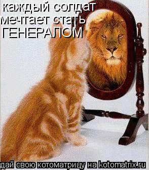 каждый солдат мечтает стать ГЕНЕРАЛОМ... Котоматрица: каждый солдат мечтает стать ГЕНЕРАЛОМ
