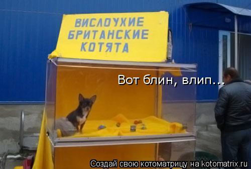 Вот блин, влип...... Котоматрица: Вот блин, влип...
