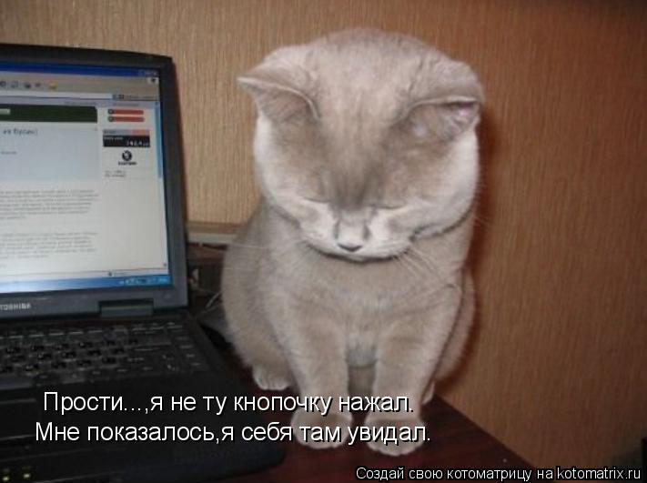Прости...,я не ту кнопочку нажал. Мне показалось,я себя там увидал.... Котоматрица: Прости...,я не ту кнопочку нажал. Мне показалось,я себя там увидал.