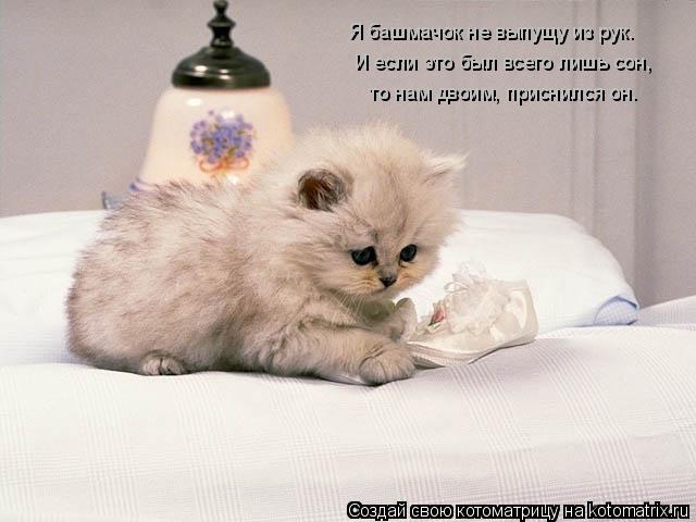Я башмачок не выпущу из рук. И если это был всего лишь сон, то нам двоим, приснился он.... Котоматрица: Я башмачок не выпущу из рук. И если это был всего лишь сон, то нам двоим, приснился он.