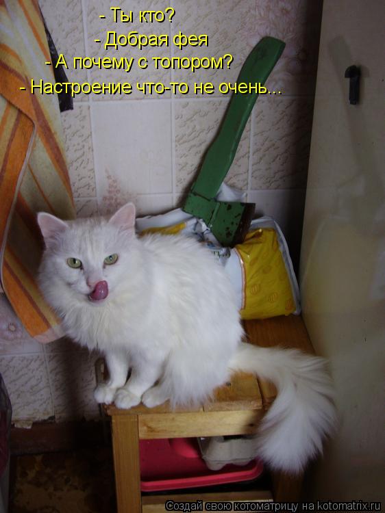 - Ты кто? - Добрая фея - А почему с топором? - Настроение что-то не очень...... Котоматрица: - Ты кто? - Добрая фея - А почему с топором? - Настроение что-то не очень...