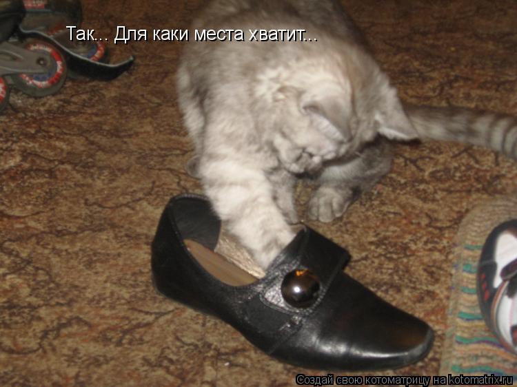 Так... Для каки места хватит...... Котоматрица: Так... Для каки места хватит...