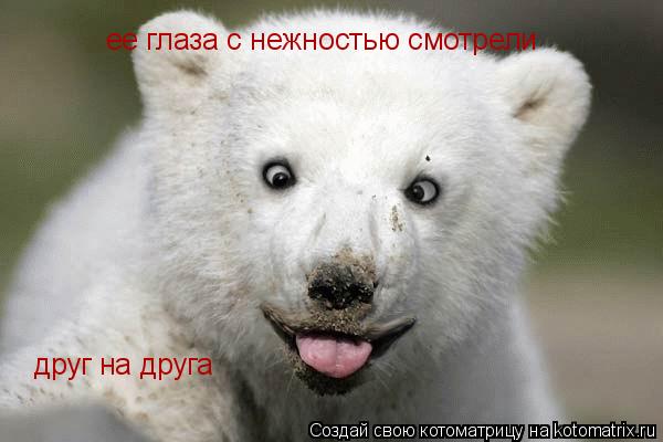 ее глаза с нежностью смотрели друг на друга... Котоматрица: ее глаза с нежностью смотрели друг на друга