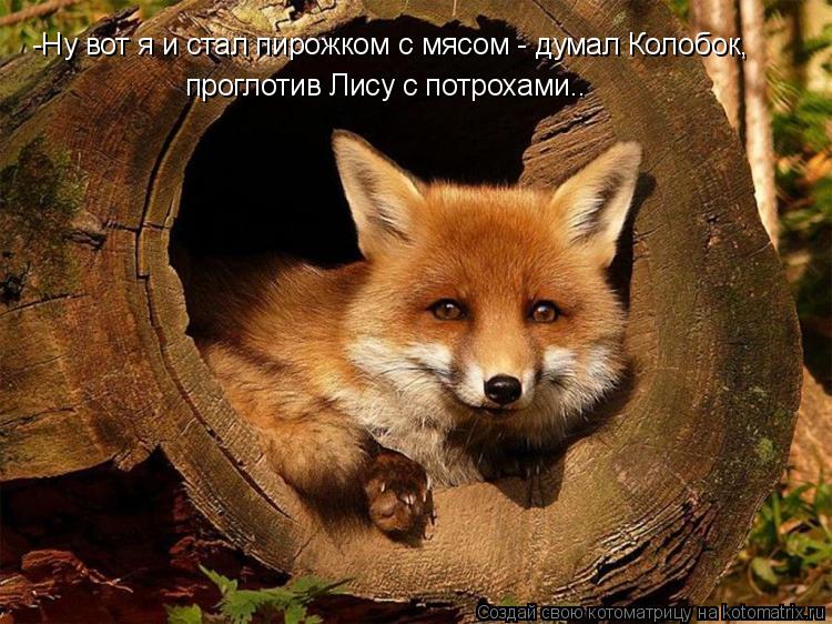 -Ну вот я и стал пирожком с мясом - думал Колобок, проглотив Лису с потрохами..... Котоматрица: -Ну вот я и стал пирожком с мясом - думал Колобок, проглотив Лису с потрохами..
