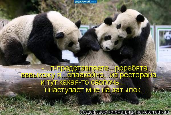 -...п-представляете...ррребята... и тут какая-то сволочь... ннаступает мне на затылок... вввыхожу я..... Котоматрица: -...п-представляете...ррребята... и тут какая-то сволочь... ннаступает мне на затылок... вввыхожу я...спаакойно...из ресторана...
