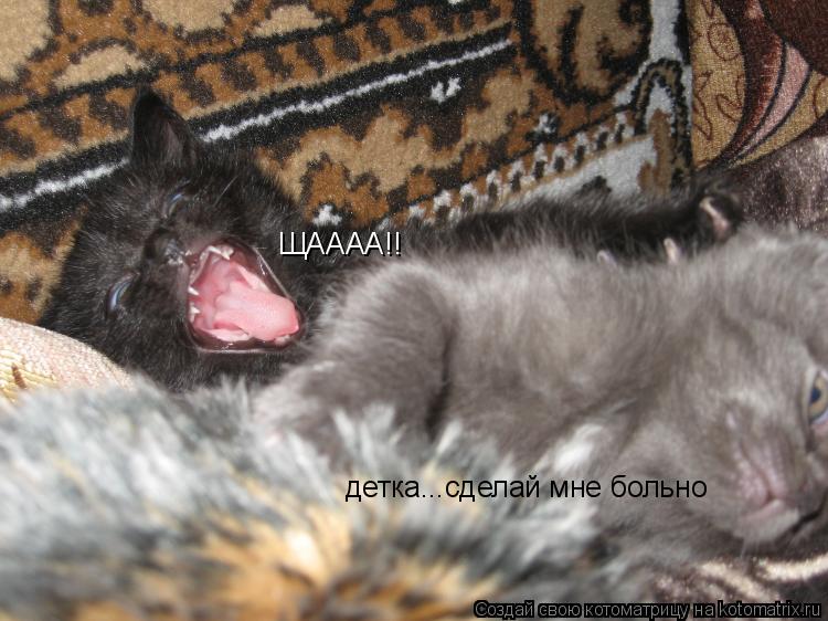 детка...сделай мне больно ЩАААА!!... Котоматрица: детка...сделай мне больно ЩАААА!!