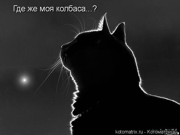 Где же моя колбаса...?... Котоматрица: Где же моя колбаса...?