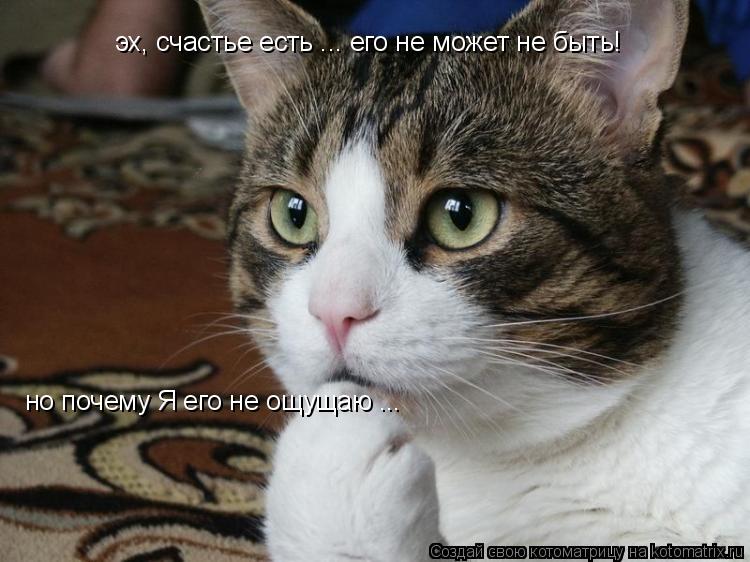 Котоматрица: эх, счастье есть ... его не может не быть!  но почему Я его не ощущаю ...