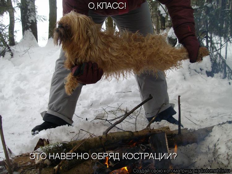 О,КЛАСС! ЭТО НАВЕРНО ОБРЯД КОСТРАЦИИ?... Котоматрица: О,КЛАСС! ЭТО НАВЕРНО ОБРЯД КОСТРАЦИИ?