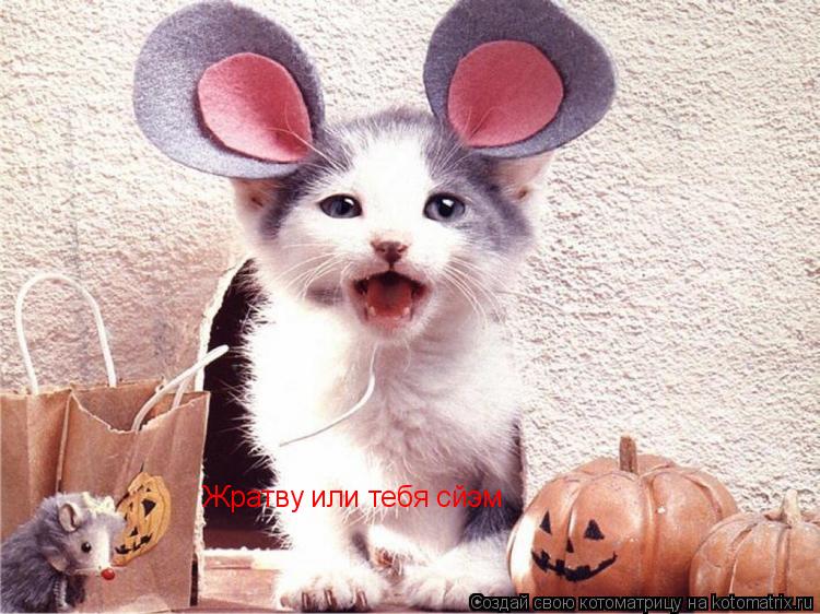 Жратву или тебя сйэм... Котоматрица: Жратву или тебя сйэм