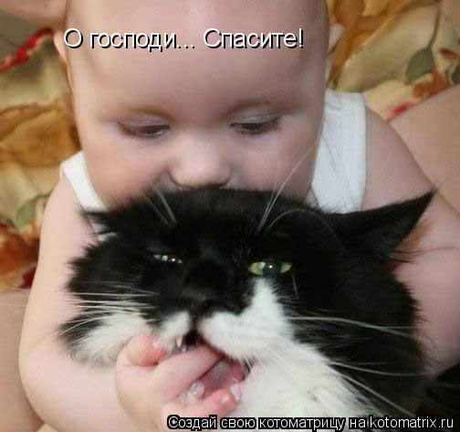 О господи... Спасите!... Котоматрица: О господи... Спасите!