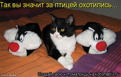 Так вы значит за птицей охотились...... Котоматрица: Так вы значит за птицей охотились...