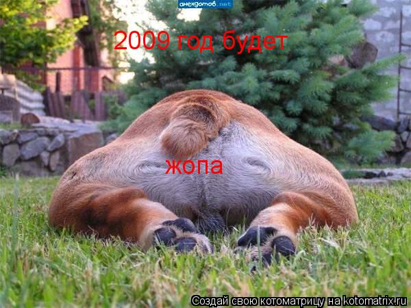 2009 год будет жопа... Котоматрица: 2009 год будет жопа