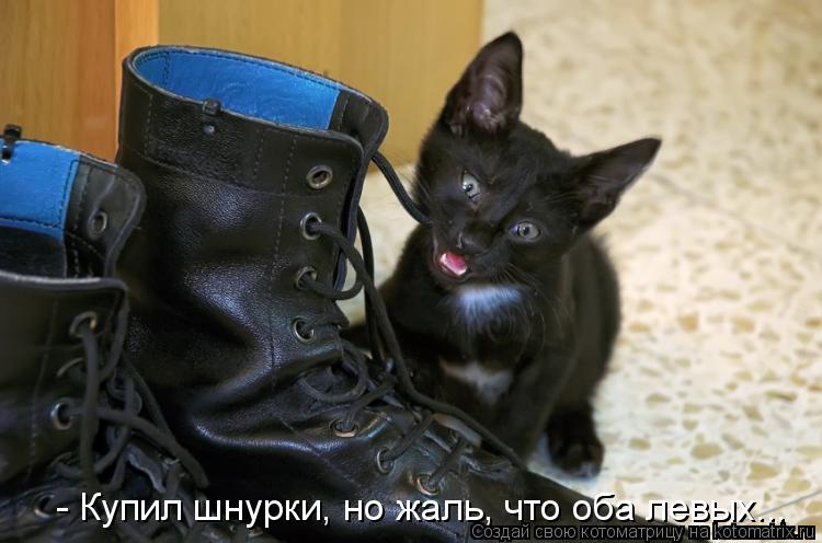 - Купил шнурки, но жаль, что оба левых...... Котоматрица: - Купил шнурки, но жаль, что оба левых...
