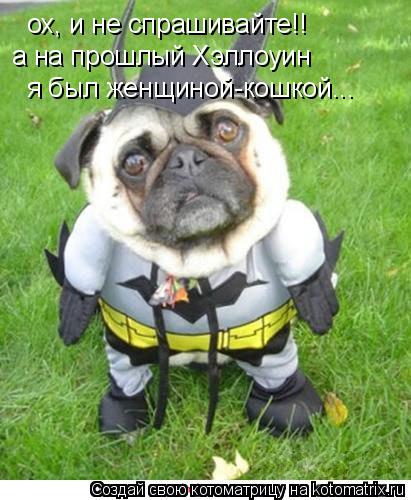ох, и не спрашивайте!! а на прошлый Хэллоуин я был женщиной-кошкой...... Котоматрица: ох, и не спрашивайте!! а на прошлый Хэллоуин я был женщиной-кошкой...