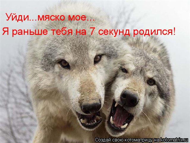 Уйди...мяско мое... Я раньше тебя на 7 секунд родился!... Котоматрица: Уйди...мяско мое... Я раньше тебя на 7 секунд родился!