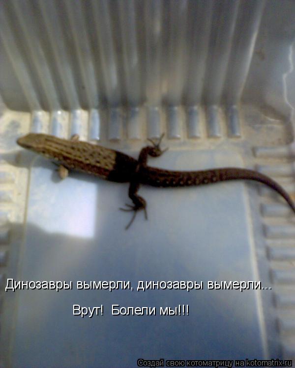 Динозавры вымерли, динозавры вымерли... Врут! Болели мы!!!... Котоматрица: Динозавры вымерли, динозавры вымерли... Врут! Болели мы!!!