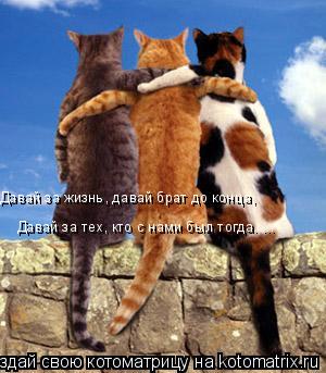 Давай за жизнь, давай брат до конца, Давай за тех, кто с нами был тогда. ...... Котоматрица: Давай за жизнь, давай брат до конца, Давай за тех, кто с нами был тогда. ...