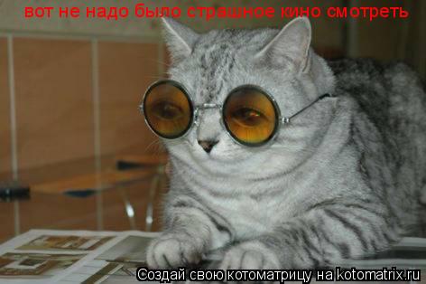 вот не надо было страшное кино смотреть... Котоматрица: вот не надо было страшное кино смотреть