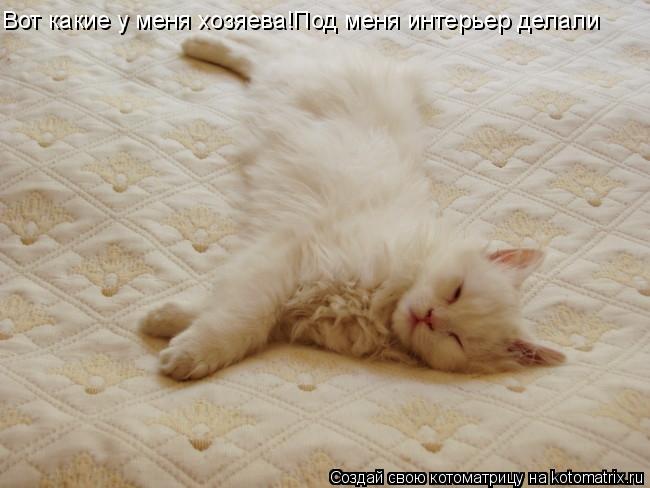 Вот какие у меня хозяева!Под меня интерьер делали... Котоматрица: Вот какие у меня хозяева!Под меня интерьер делали